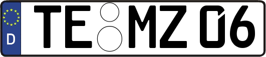 TE-MZ06