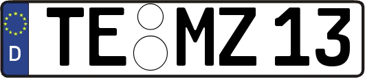 TE-MZ13