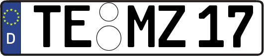 TE-MZ17