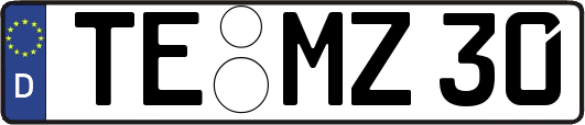 TE-MZ30