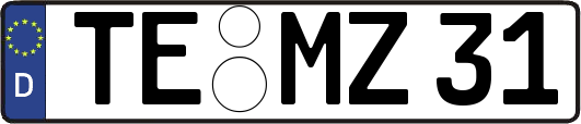 TE-MZ31