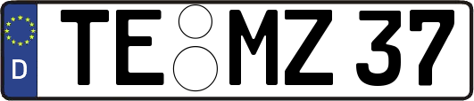 TE-MZ37