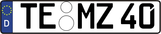 TE-MZ40