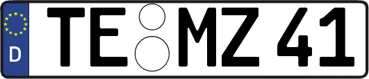 TE-MZ41