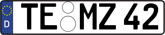 TE-MZ42