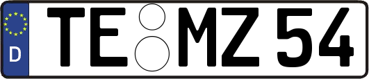 TE-MZ54