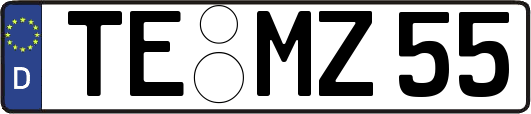 TE-MZ55