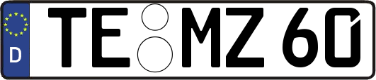 TE-MZ60
