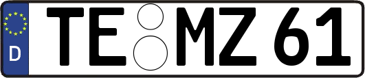 TE-MZ61