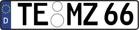 TE-MZ66