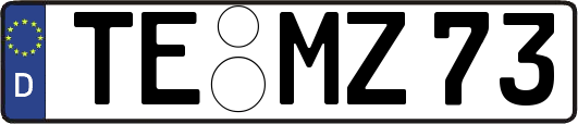 TE-MZ73