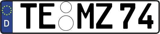 TE-MZ74