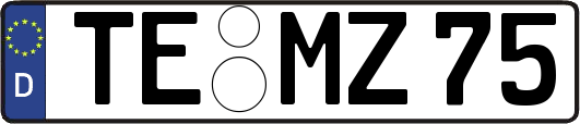 TE-MZ75