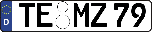 TE-MZ79