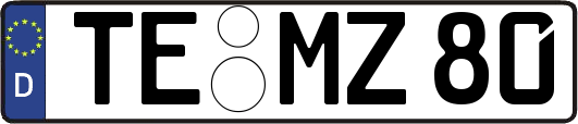 TE-MZ80