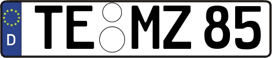 TE-MZ85
