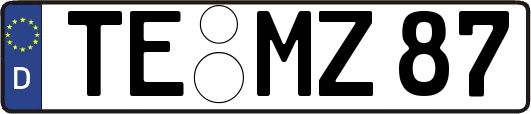 TE-MZ87
