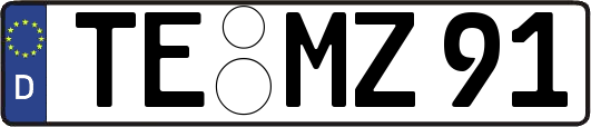 TE-MZ91