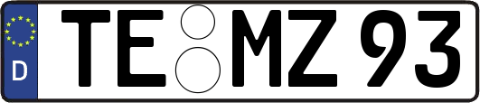 TE-MZ93