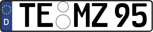 TE-MZ95