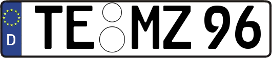 TE-MZ96