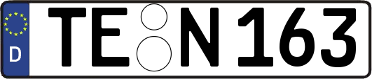 TE-N163