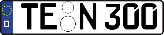 TE-N300