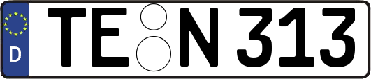 TE-N313