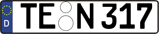TE-N317