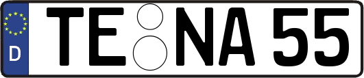 TE-NA55