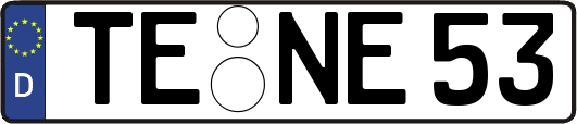 TE-NE53