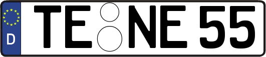TE-NE55