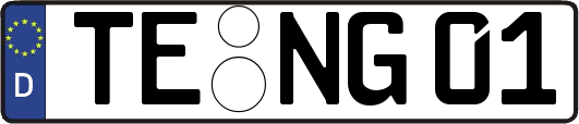 TE-NG01