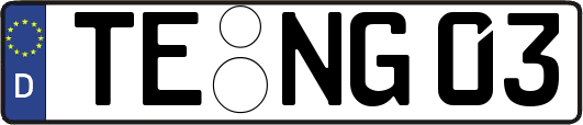 TE-NG03