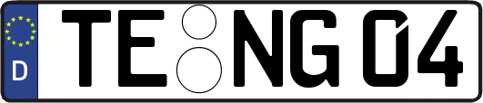 TE-NG04