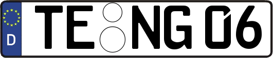 TE-NG06