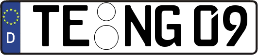 TE-NG09