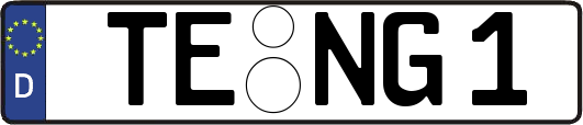 TE-NG1