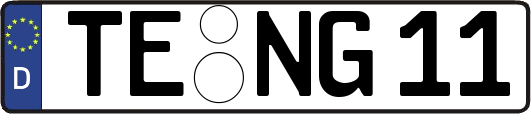 TE-NG11