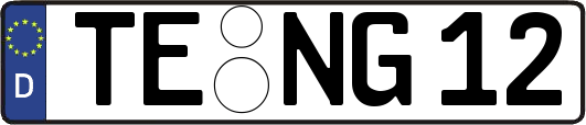 TE-NG12