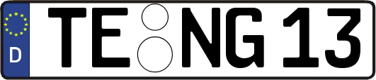 TE-NG13