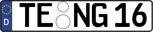 TE-NG16