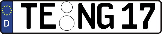 TE-NG17