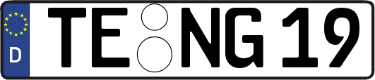 TE-NG19