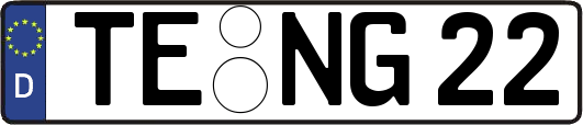 TE-NG22