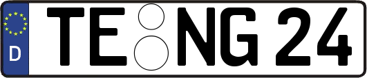 TE-NG24