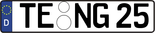 TE-NG25