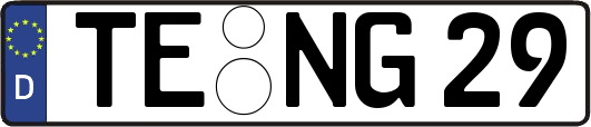 TE-NG29