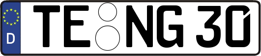 TE-NG30