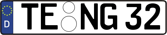 TE-NG32